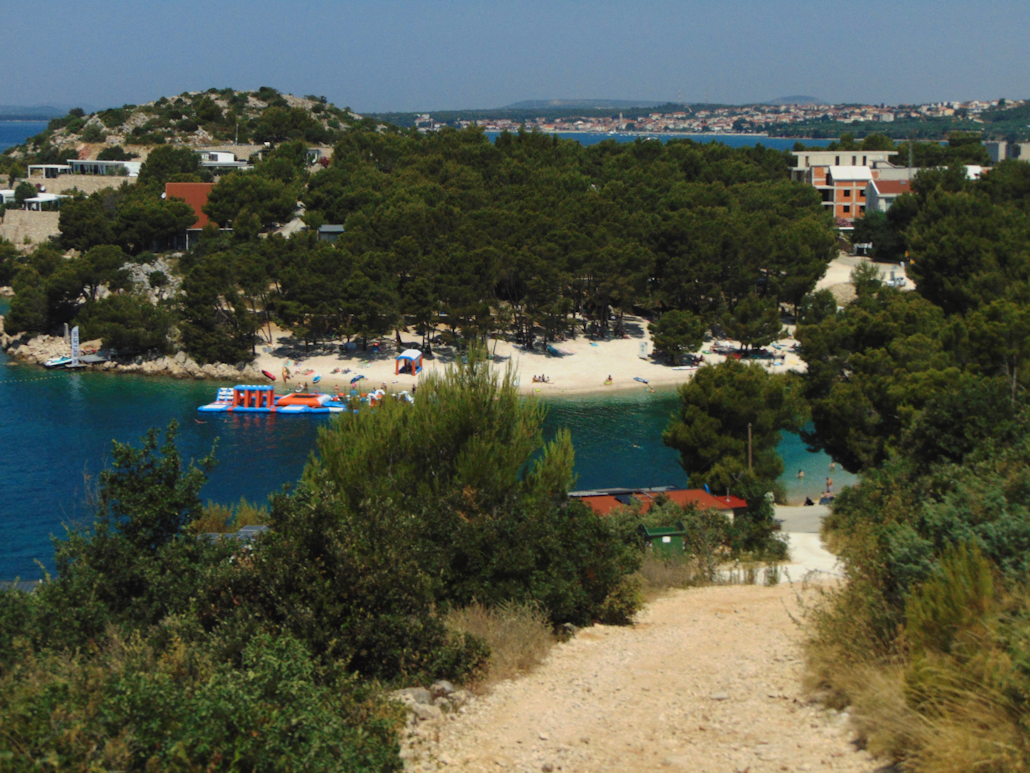 Plaža u borovoj šumi